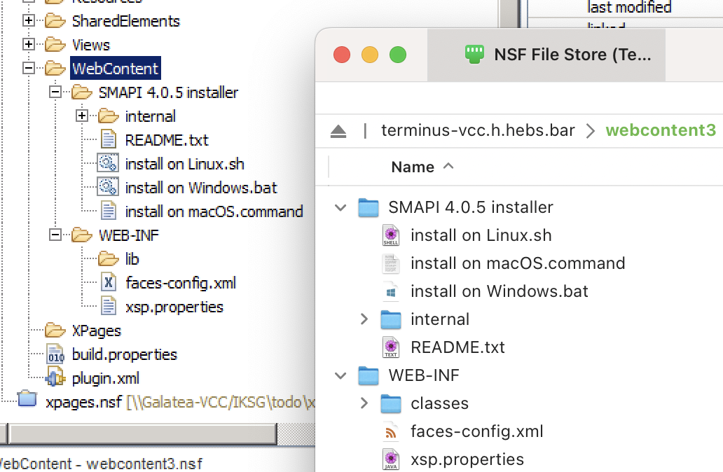 Screenshot showing Designer and Transmit looking at the same WebContent in an NSF